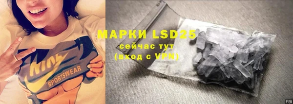 меф Вяземский