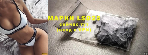 ГАЛЛЮЦИНОГЕННЫЕ ГРИБЫ Вязьма