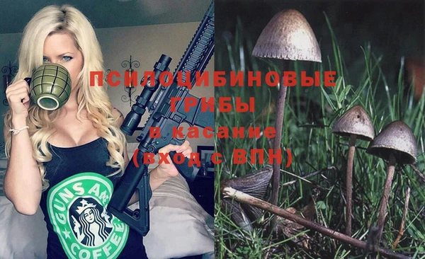 меф Вяземский